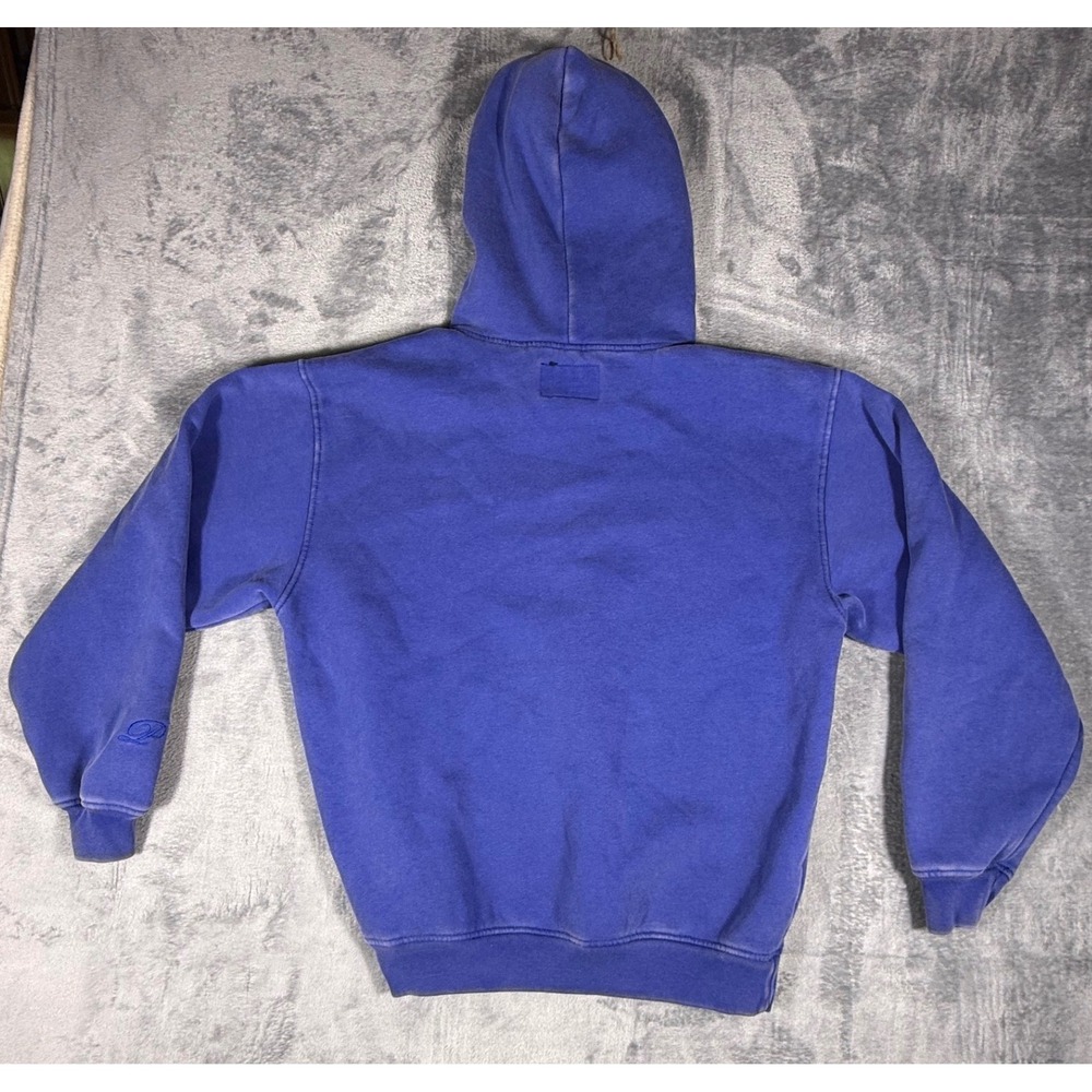 PacSun Mens Blue Pullover Hoodie Fleece Sweatshirt NWT Size Medium Cozy New